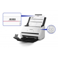 Epson WorkForce DS-530