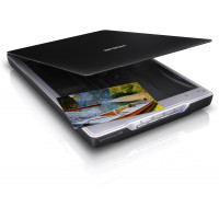 Epson Perfection V19