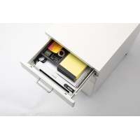 Epson DS-80W
