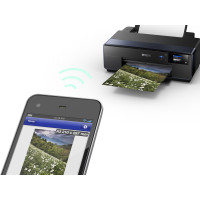 Epson SureColor SC-P600