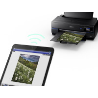Epson SureColor SC-P800