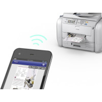 Epson WorkForce Pro WF-R5690 DTWF Flex