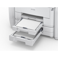 Epson WorkForce Pro WF-R5690 DTWF Flex