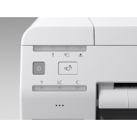 Epson SureLab SL-D800