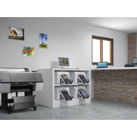 Epson SureLab SL-D800