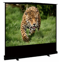 Экран Cinema S'OK SCPSF-203x114 92'' 16:9 напольный, переносной, ручной, черный корпус