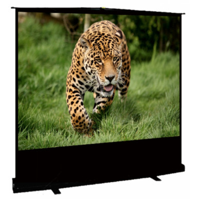 Экран Cinema S'OK SCPSF-92x163 75'' 16:9 напольный, переносной, ручной, черный корпус