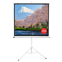 Экран Cinema S'OK SCPST-180x180GR 100'' 1:1 напольный, на треноге, Matt White, серый корпус