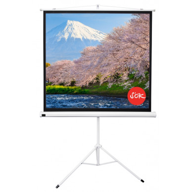 Экран Cinema S'OK SCPST-180x180GR 100'' 1:1 напольный, на треноге, Matt White, серый корпус