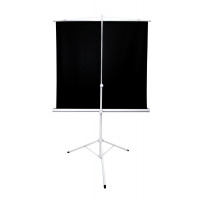 Экран Cinema S'OK SCPST-180x180GR 100'' 1:1 напольный, на треноге, Matt White, серый корпус